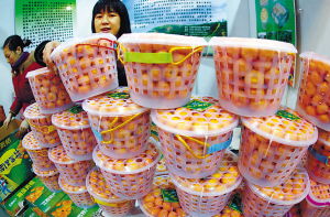 新春農副產品大聯展今日盛大開幕，優質食品薈萃迎佳節