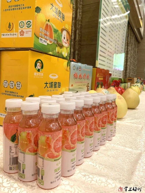 柚到成熟季，食柚正當時——梅州多方協力提升蜜柚品質與流通效率