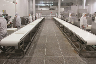 四川龍旺食品 品質與創新的食品行業典范