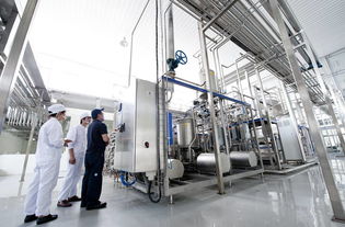 馬鞍山某食品加工廠內部被曝光，食品安全問題引人關注